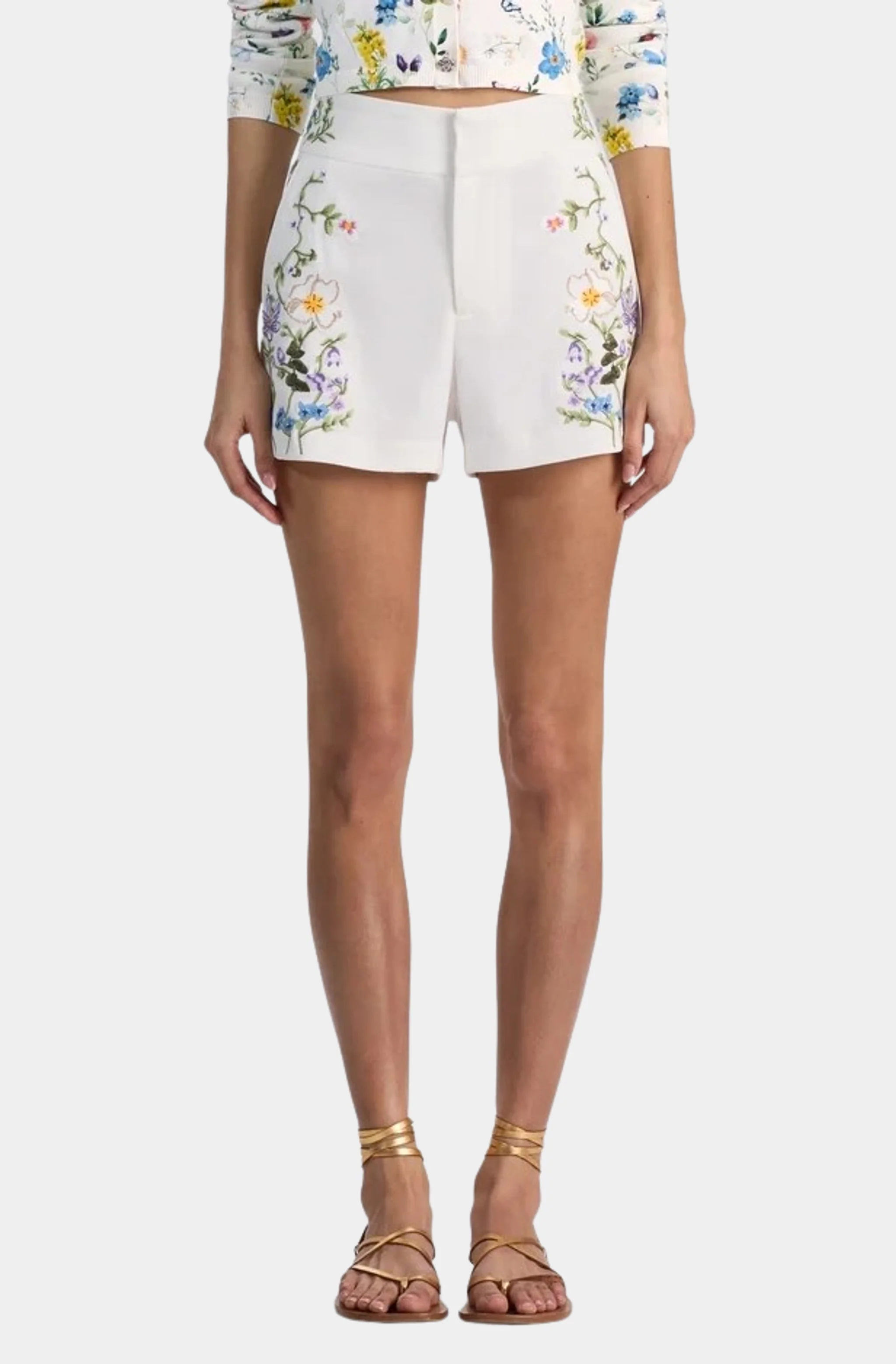 Cady Embroidered Mini Short - Image 4