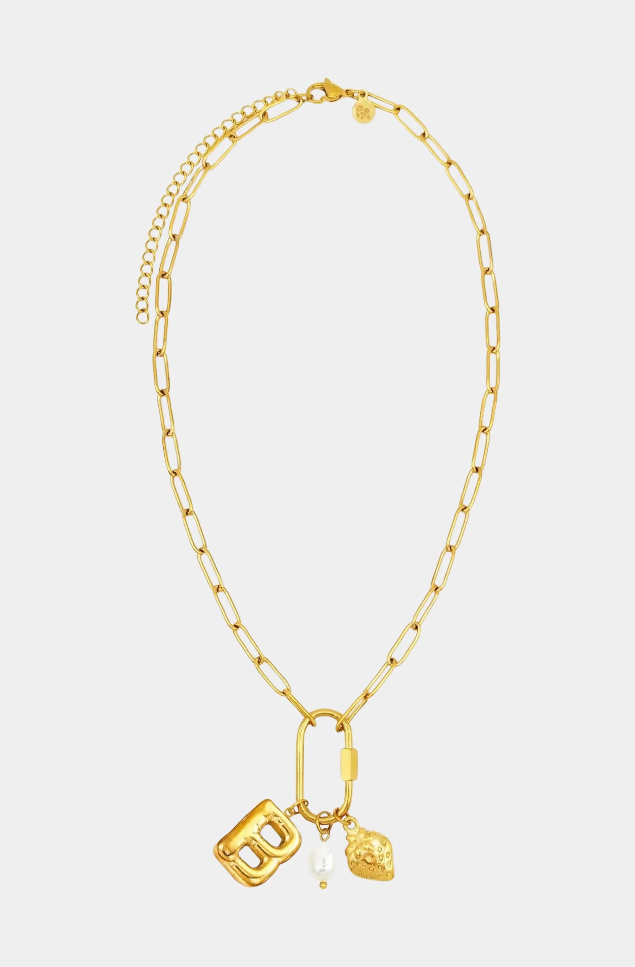 Carabiner Initial Charm Necklace - Image 2