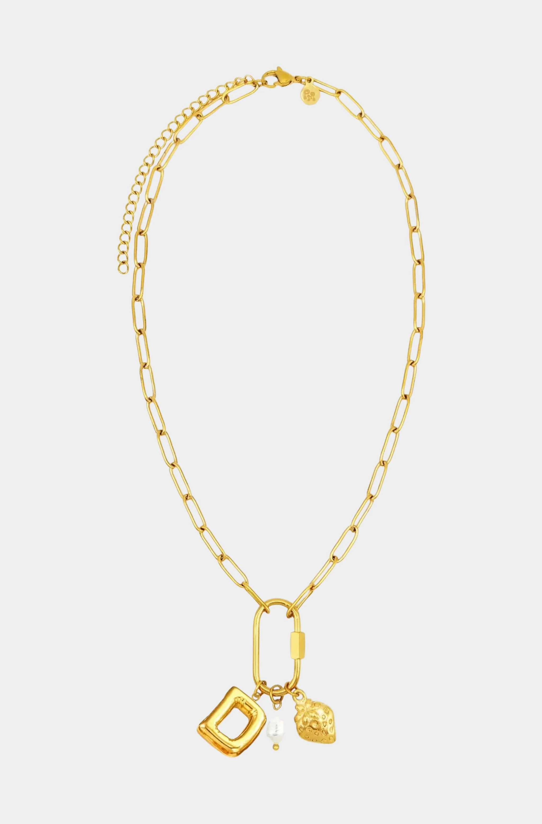 Carabiner Initial Charm Necklace - Image 4