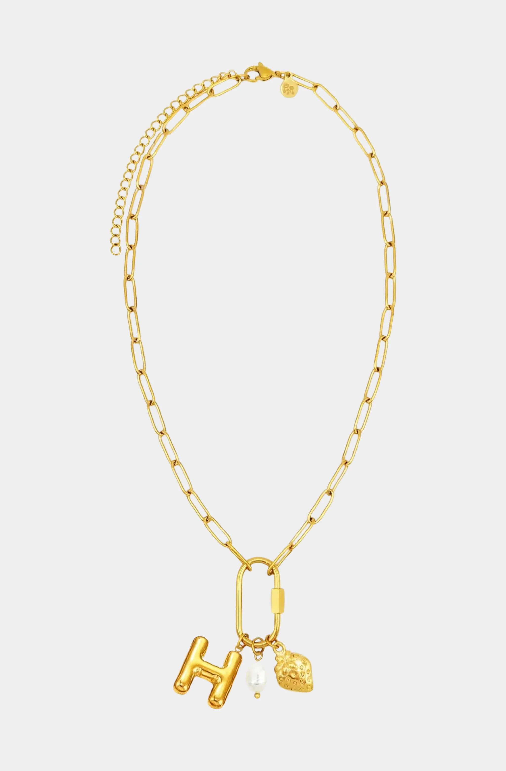 Carabiner Initial Charm Necklace - Image 7
