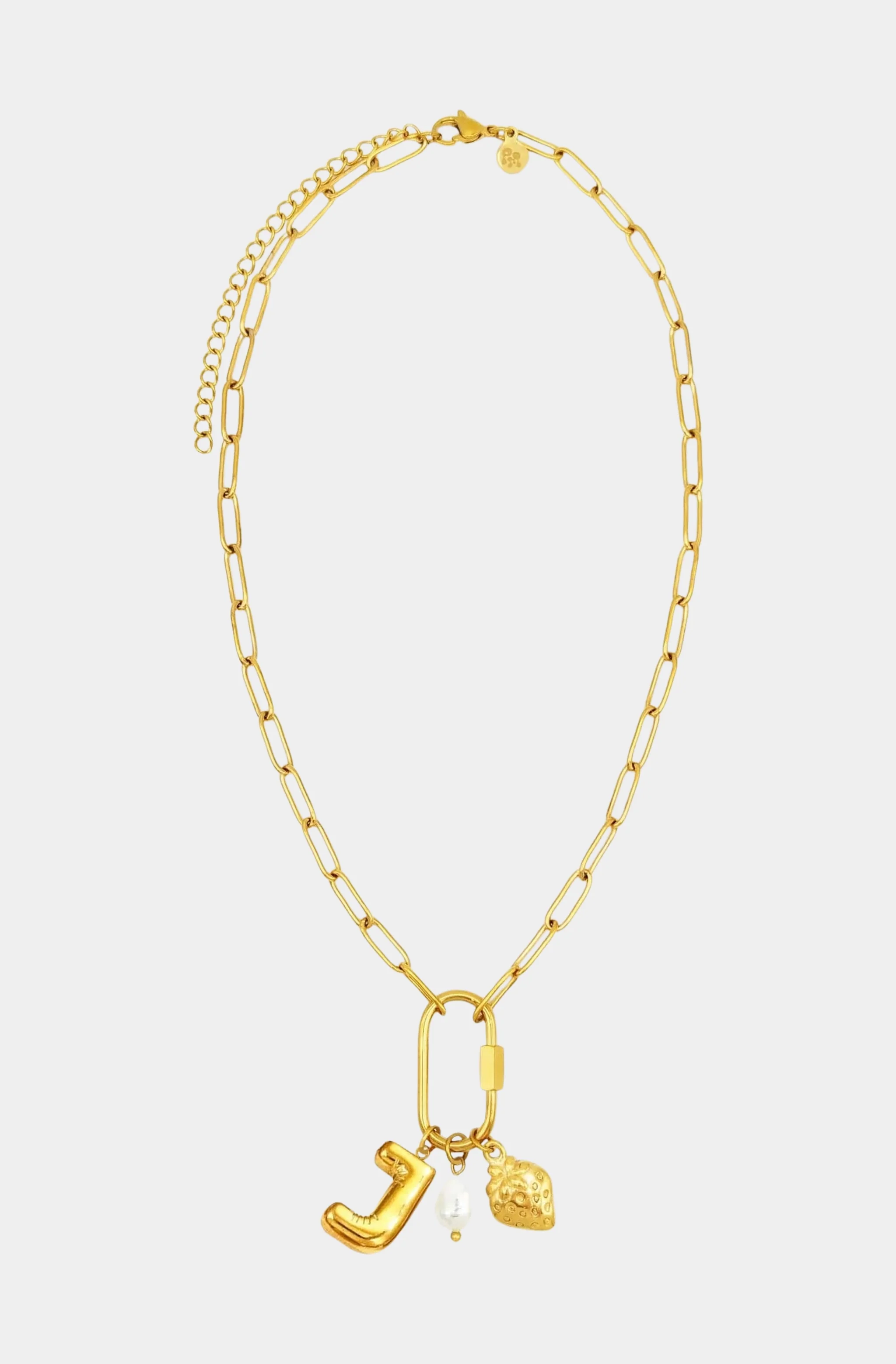 Carabiner Initial Charm Necklace - Image 8